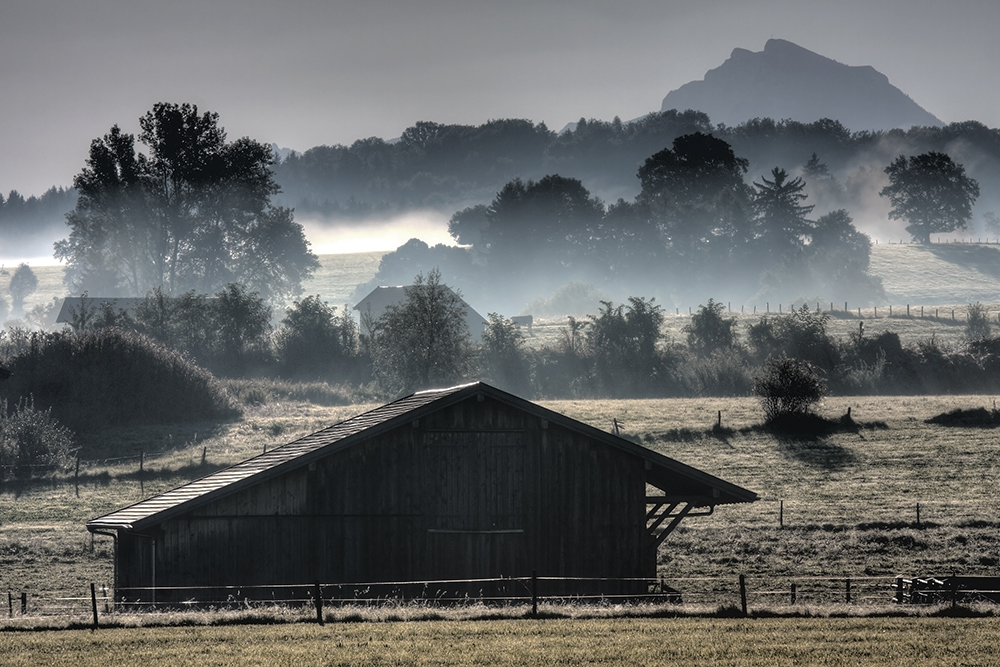 Morgennebel