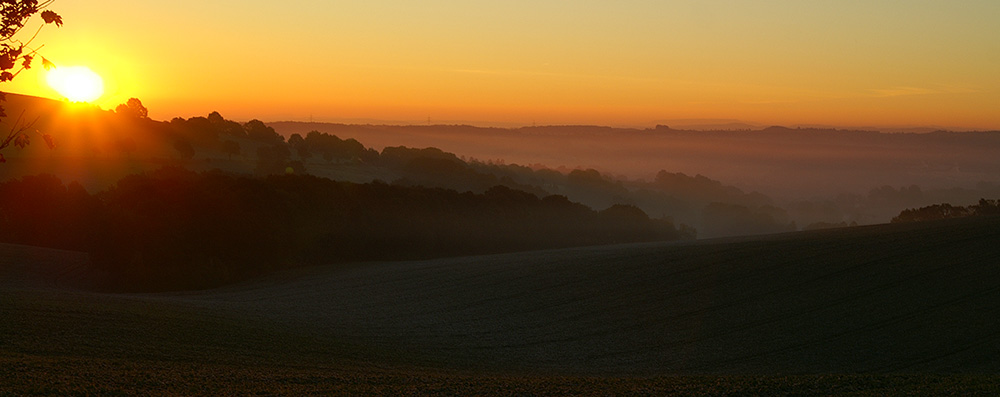 Morgennebel