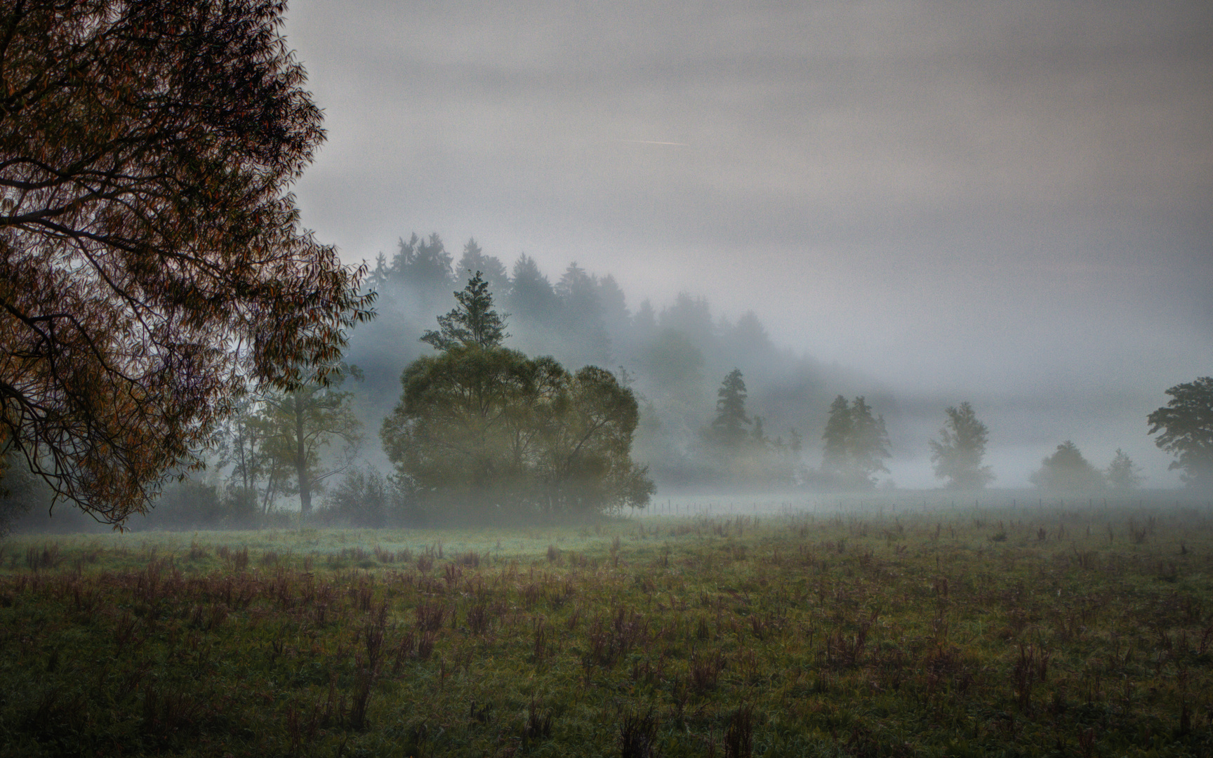 Morgennebel