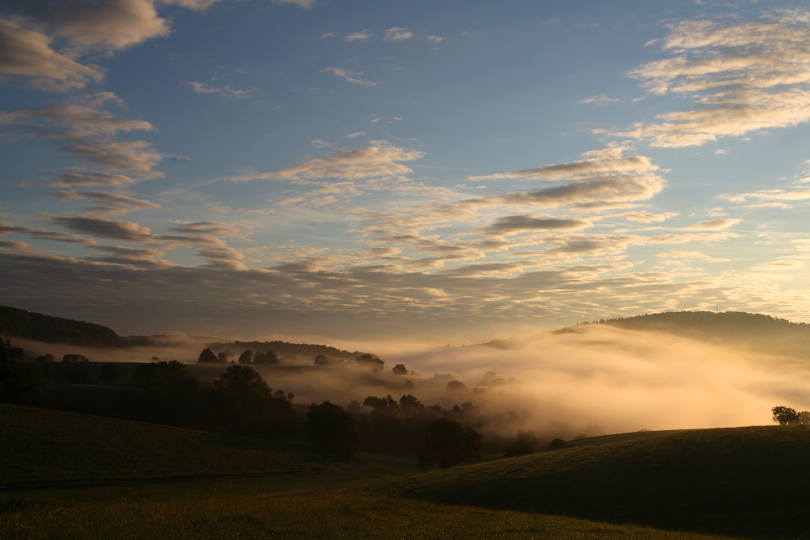 Morgennebel