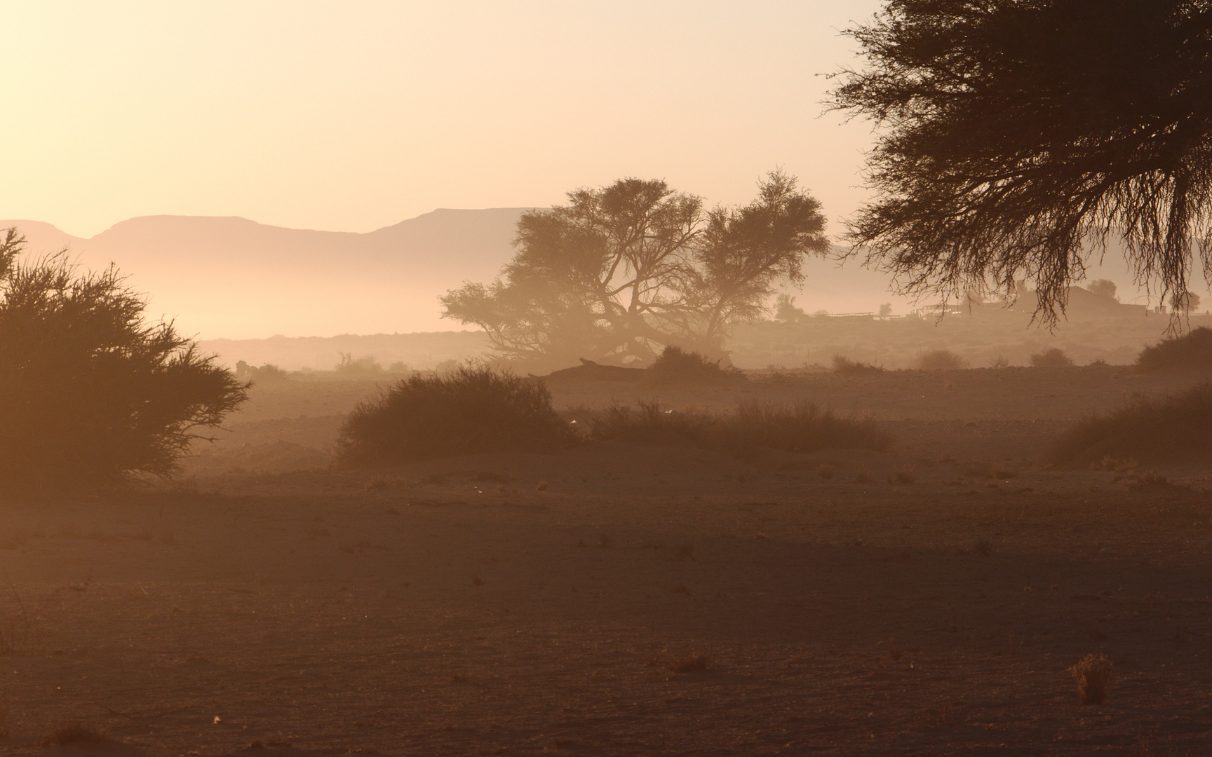 Morgennebel