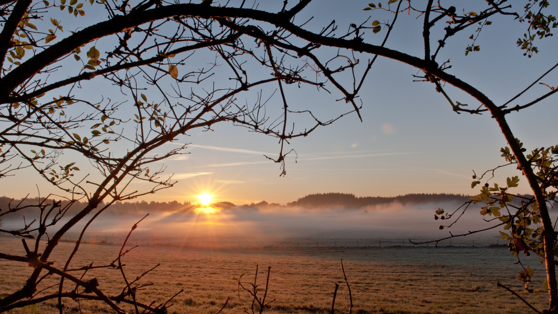 Morgennebel