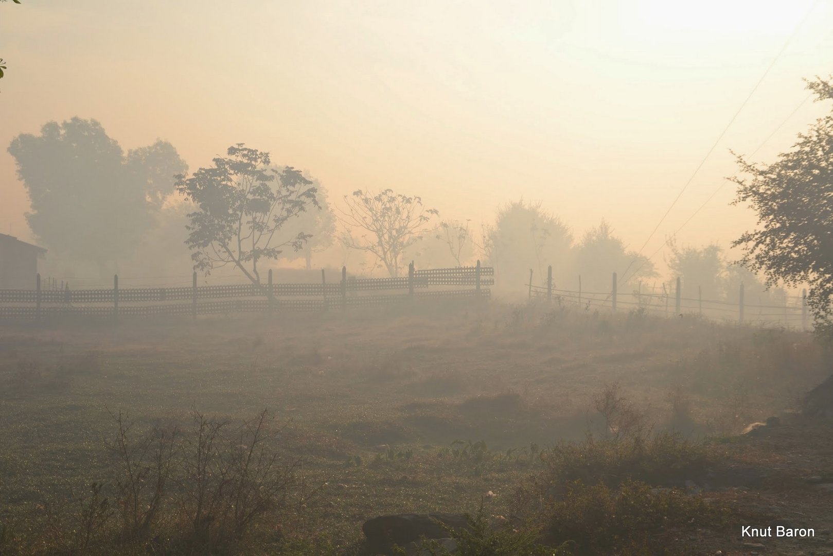 Morgennebel