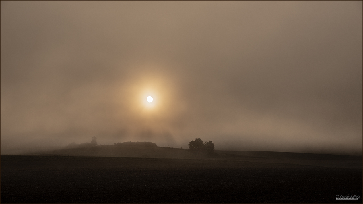 Morgennebel 