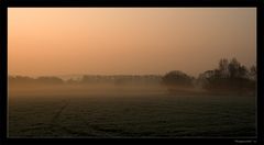 - MORGENNEBEL -