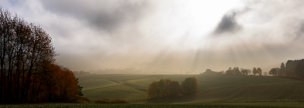 Morgennebel