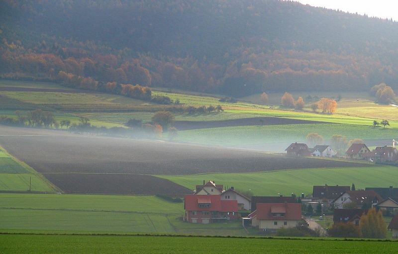 Morgennebel