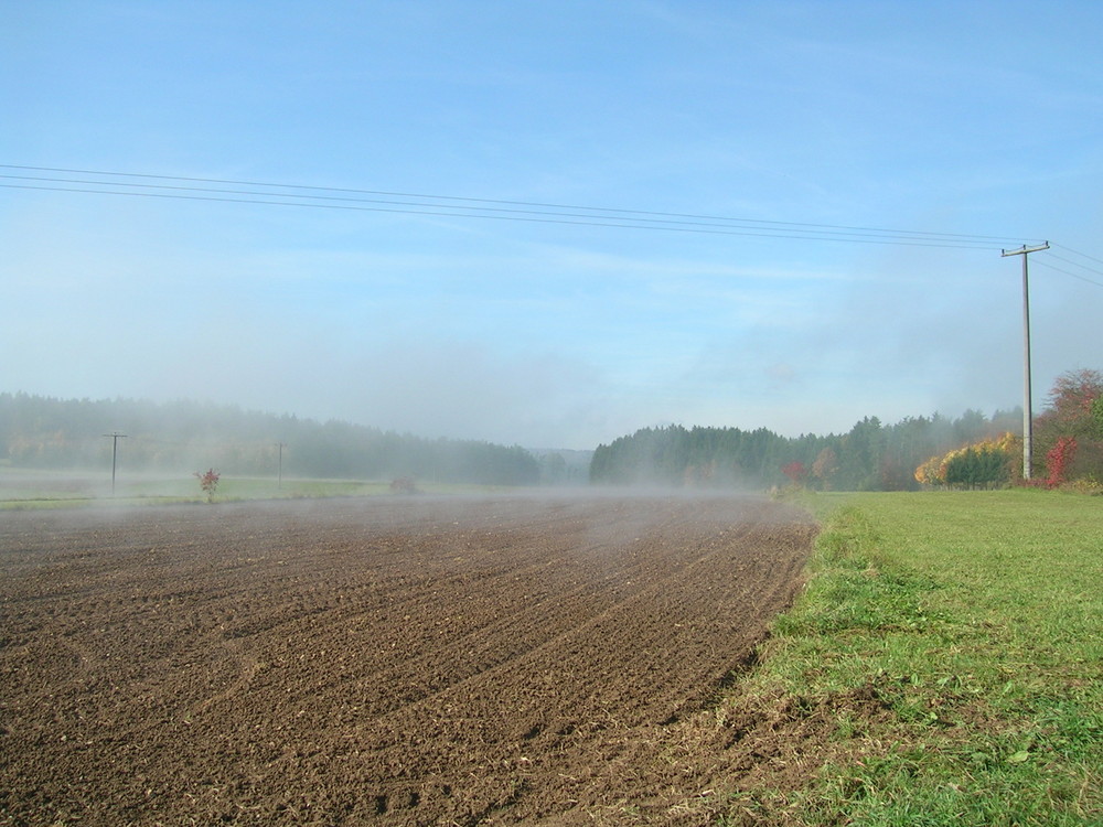 MorgenNebel