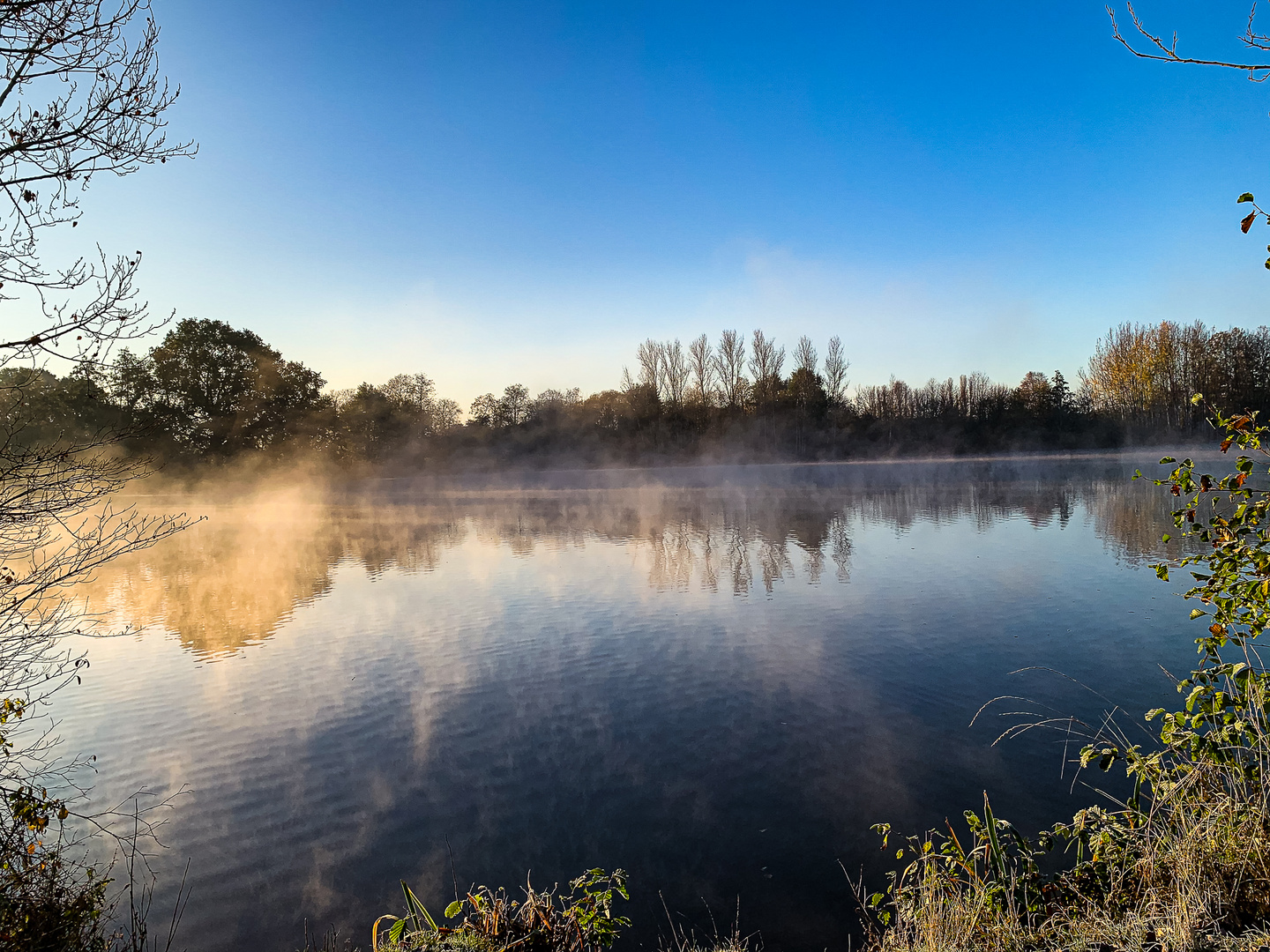 Morgennebel