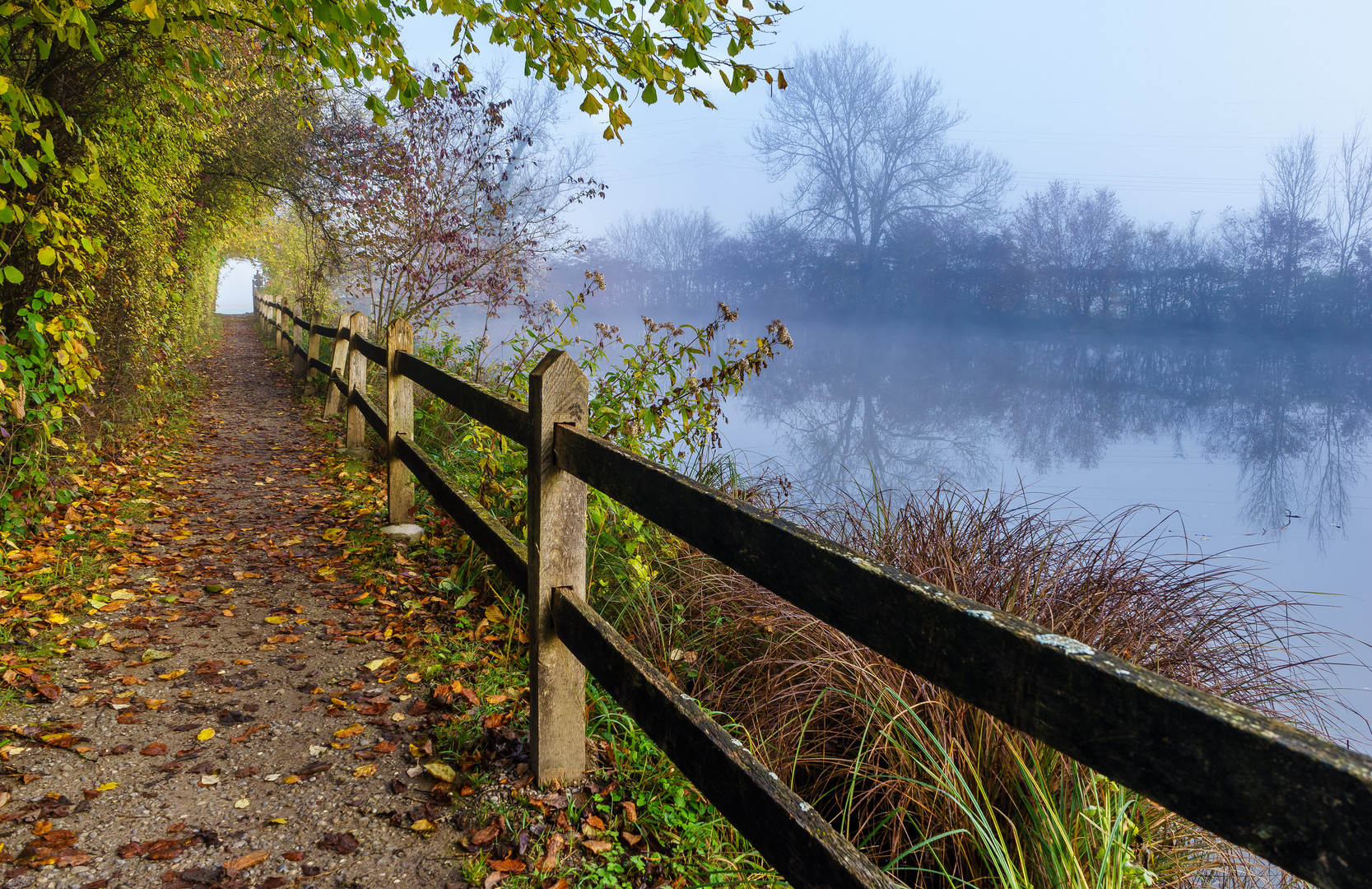 Morgennebel