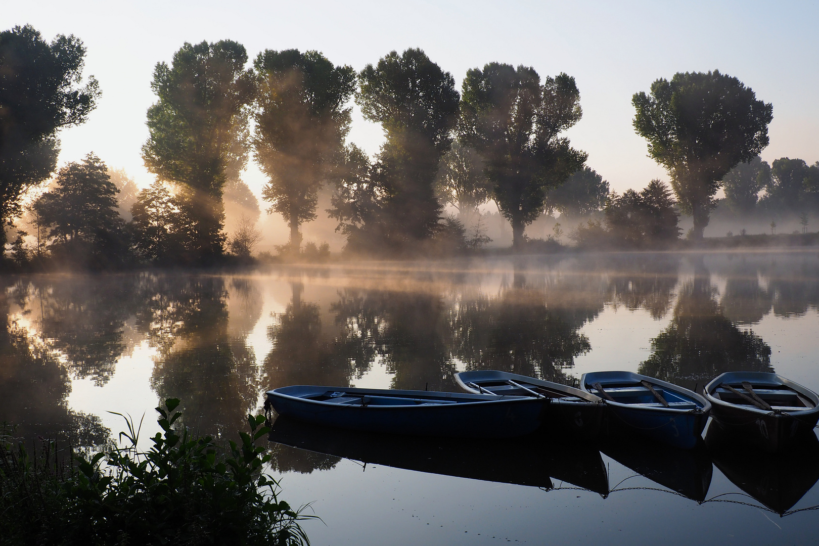 Morgennebel