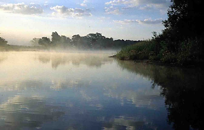 Morgennebel