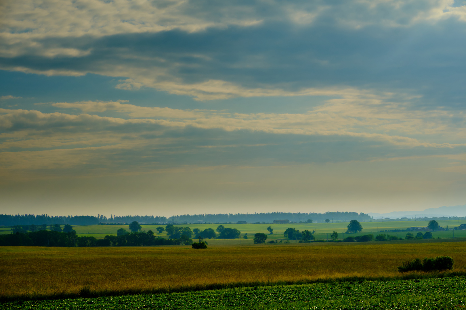 Morgennebel