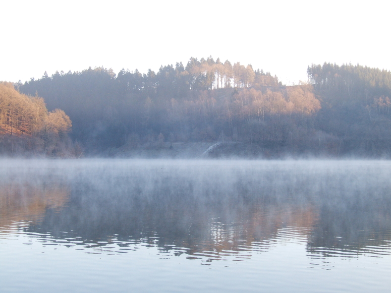 Morgennebel