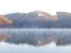 Morgennebel