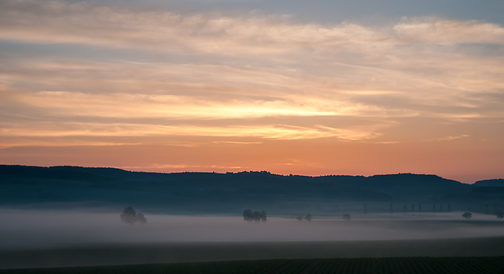 Morgennebel