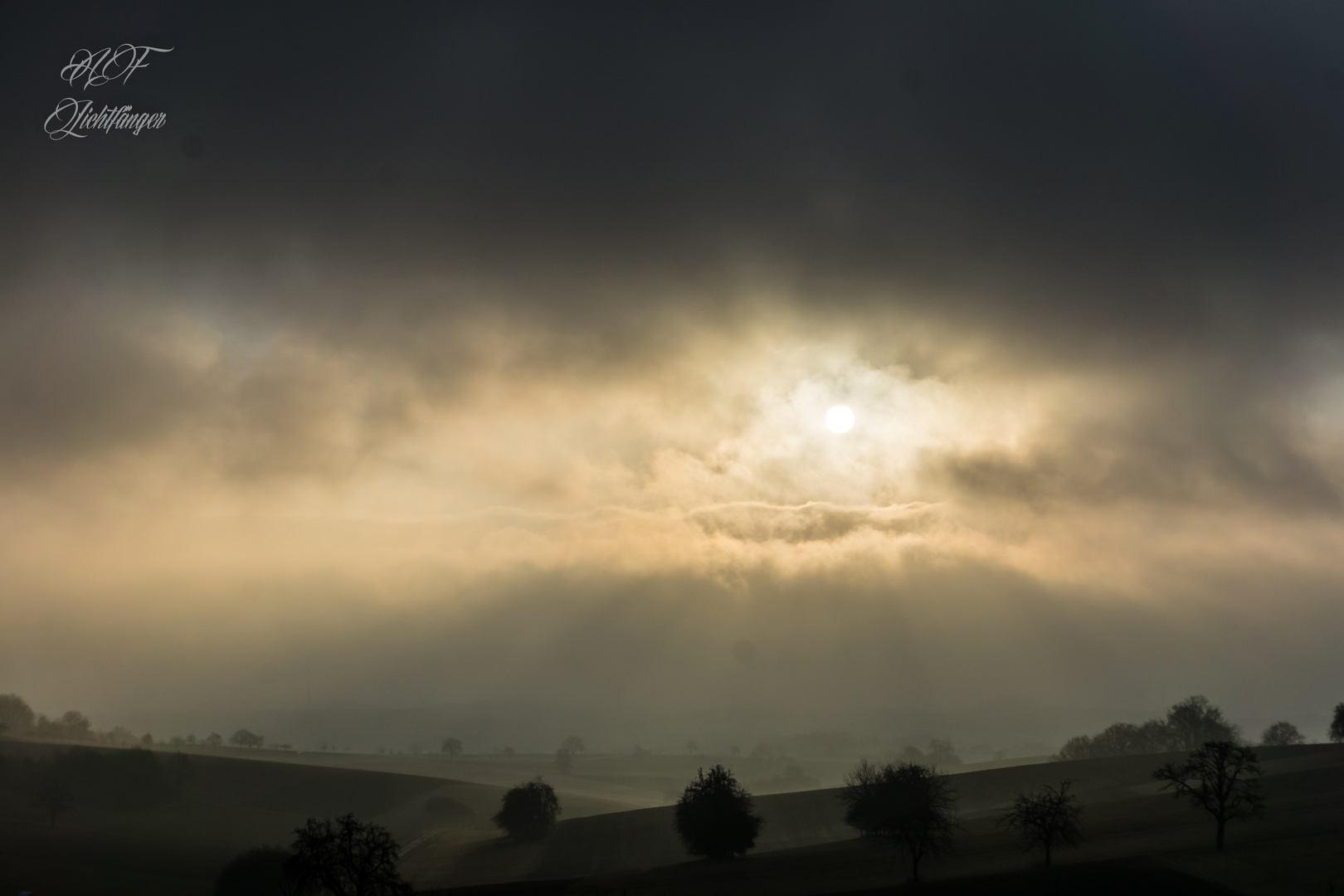 Morgennebel