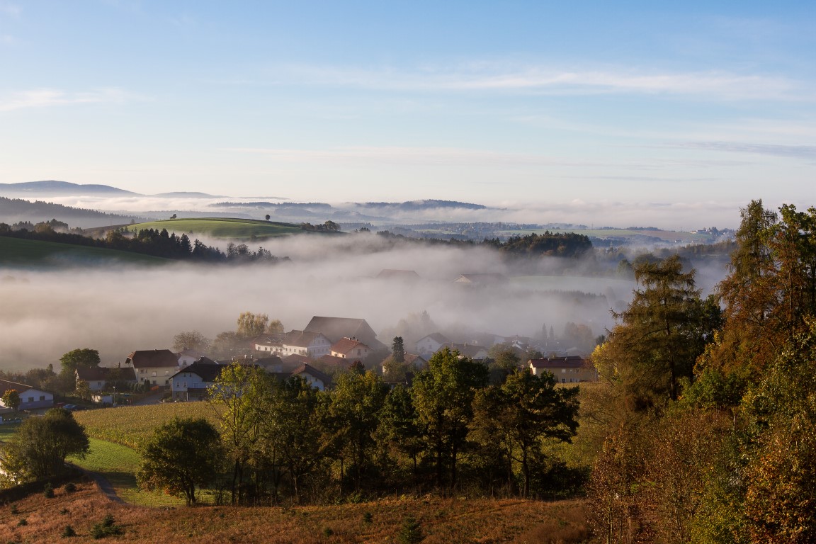 Morgennebel