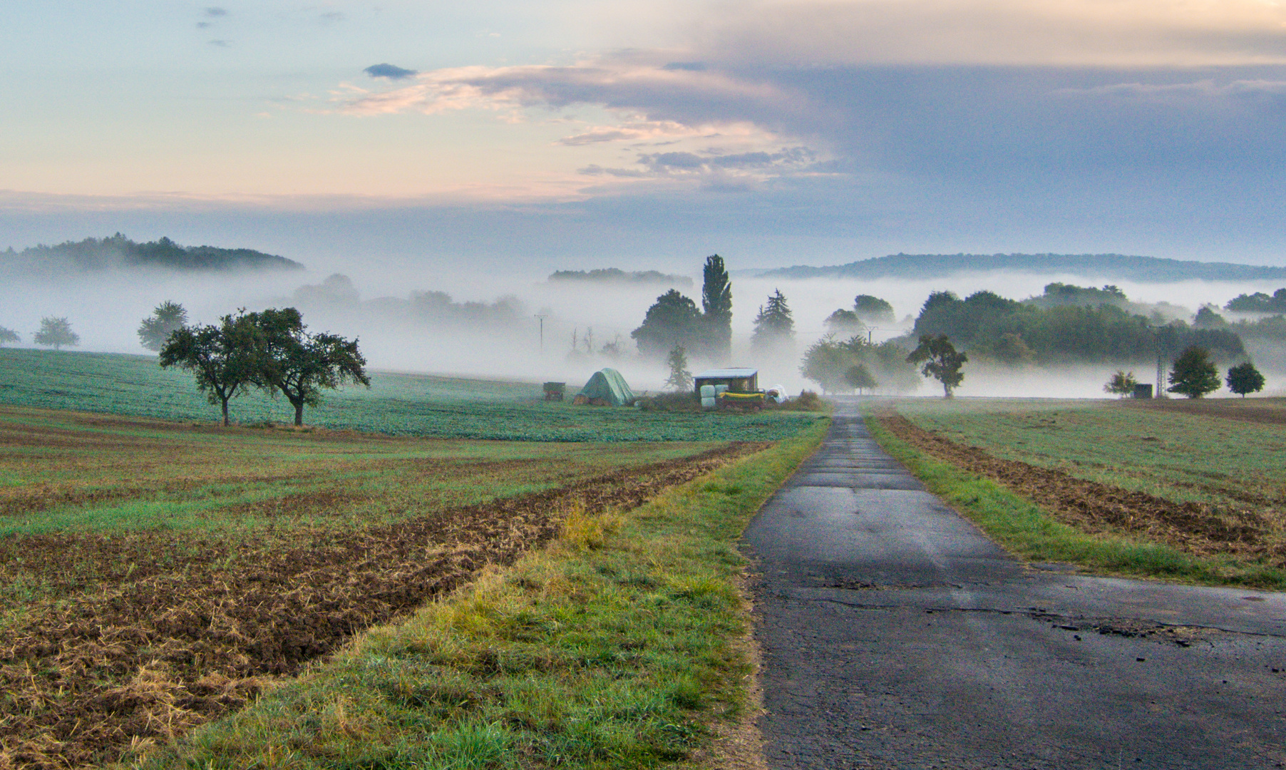 Morgennebel