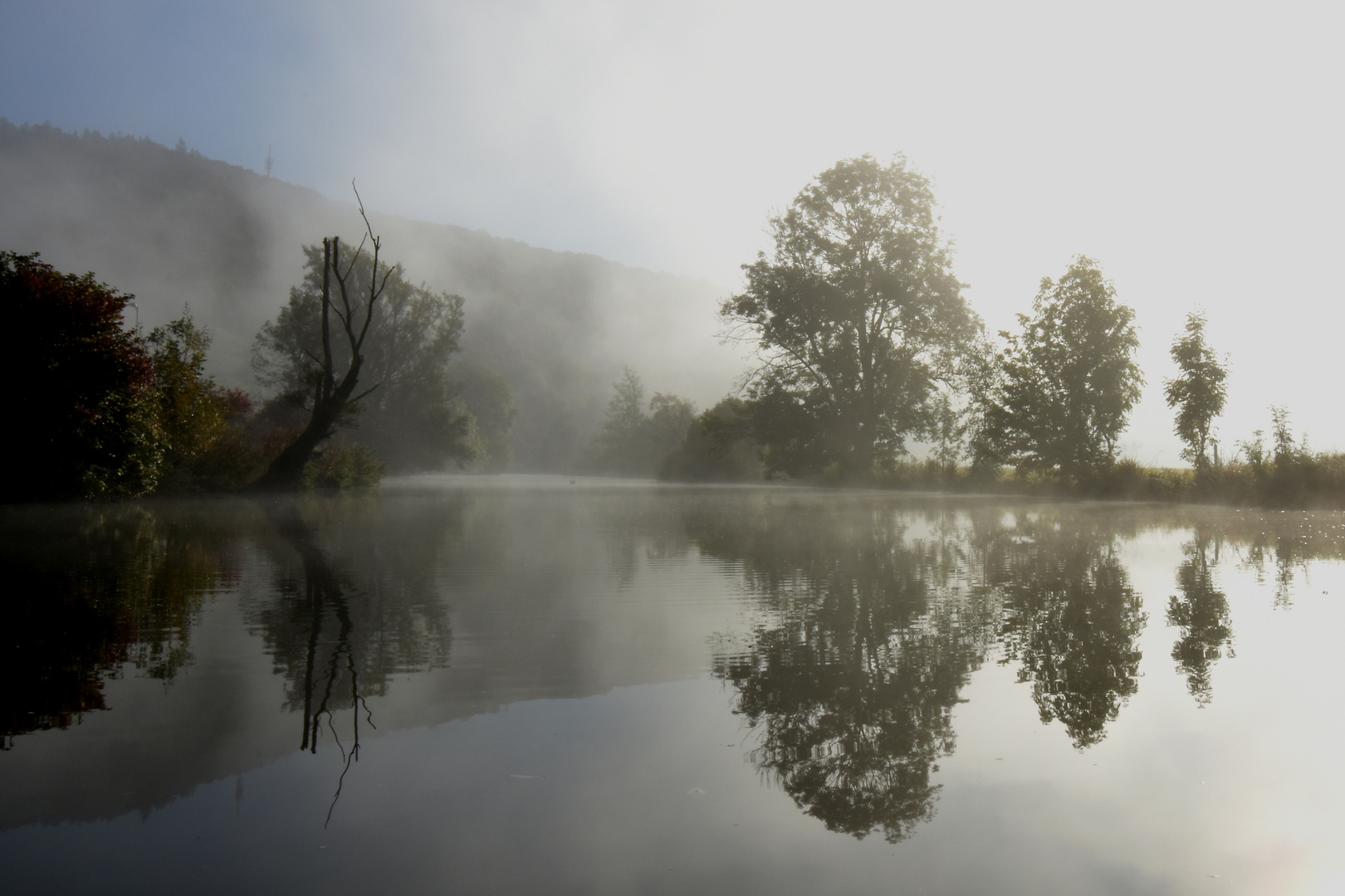 Morgennebel