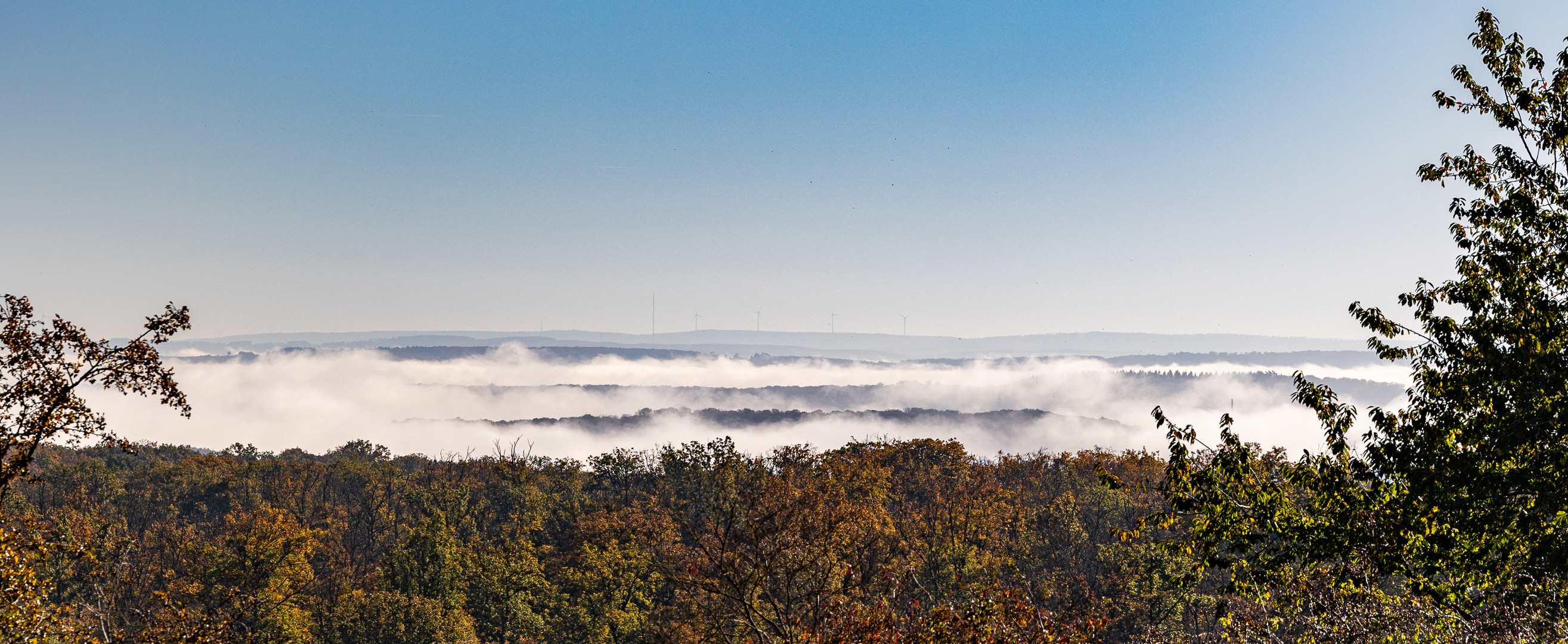 Morgennebel