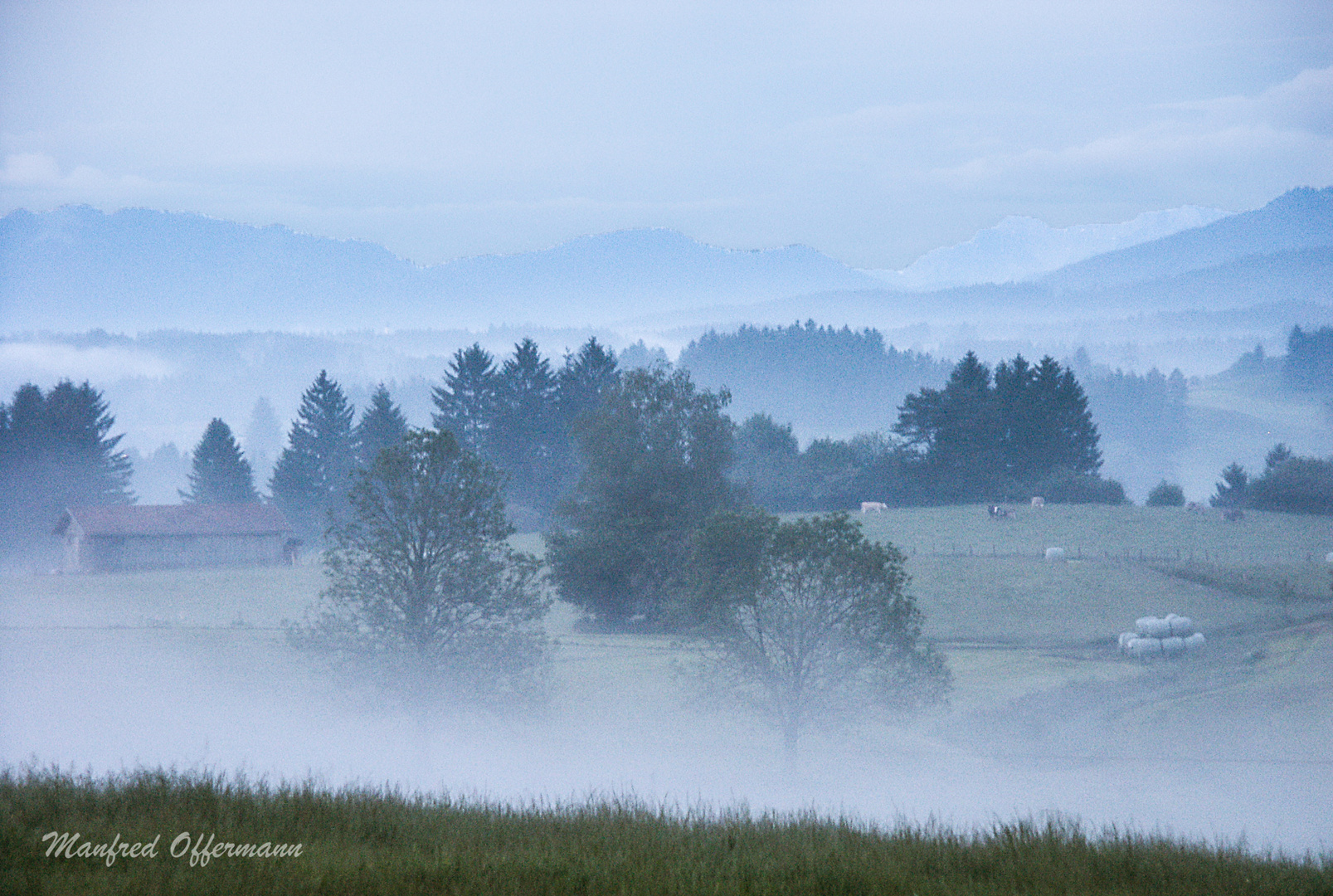 Morgennebel