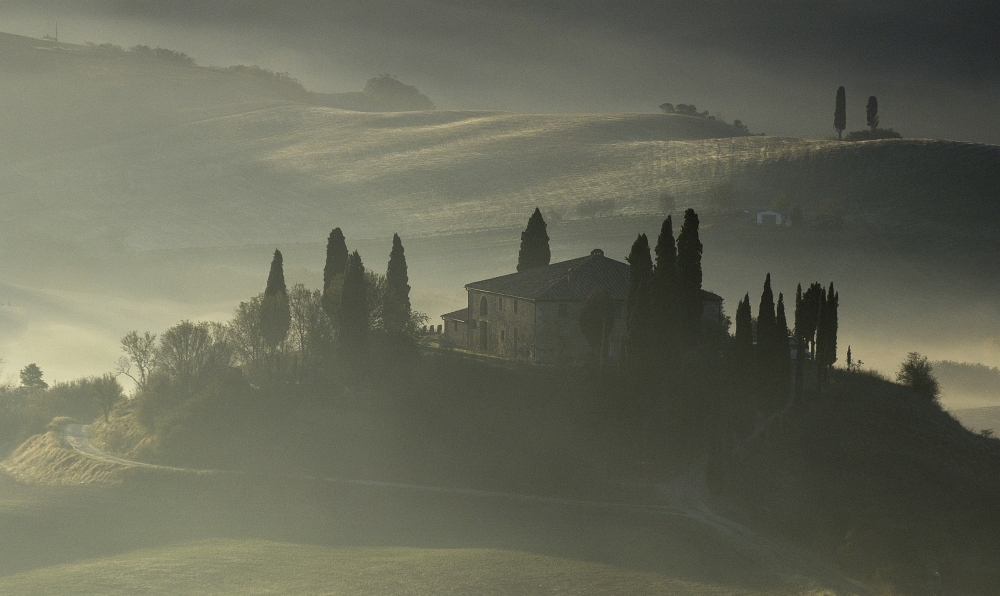 Morgennebel