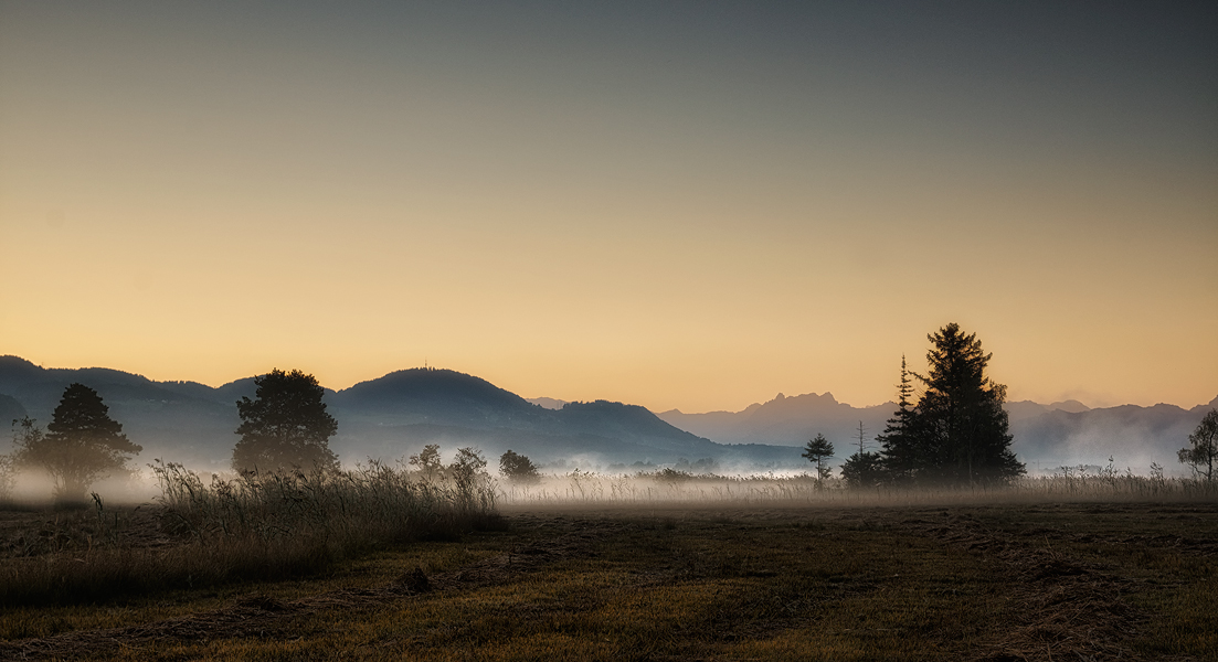 Morgennebel