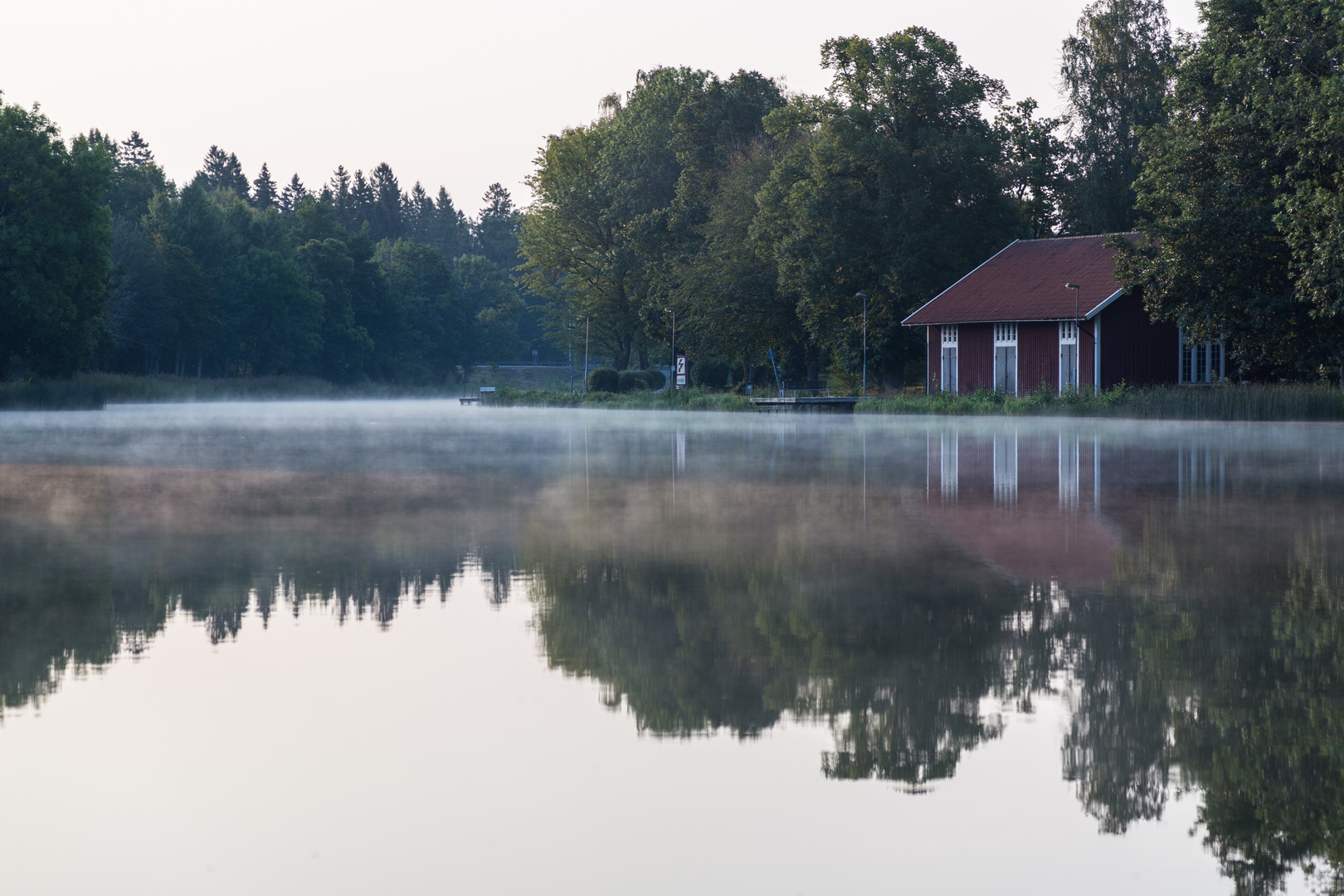 Morgennebel