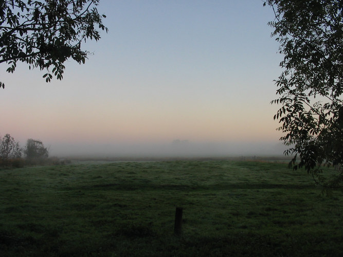 Morgennebel