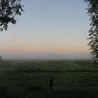 Morgennebel