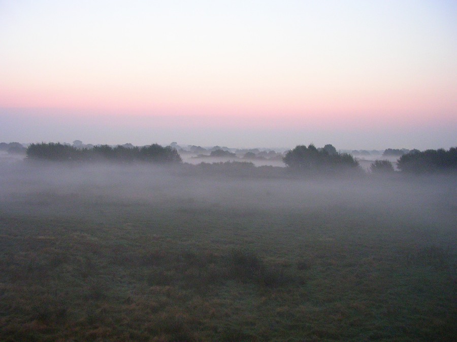 Morgennebel