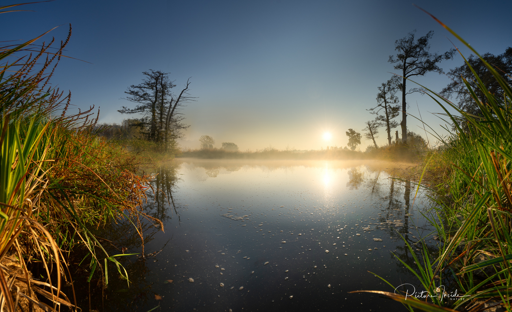 Morgennebel