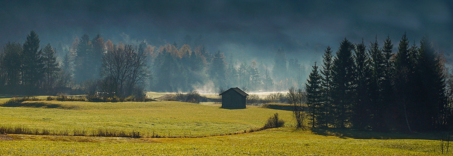 Morgennebel