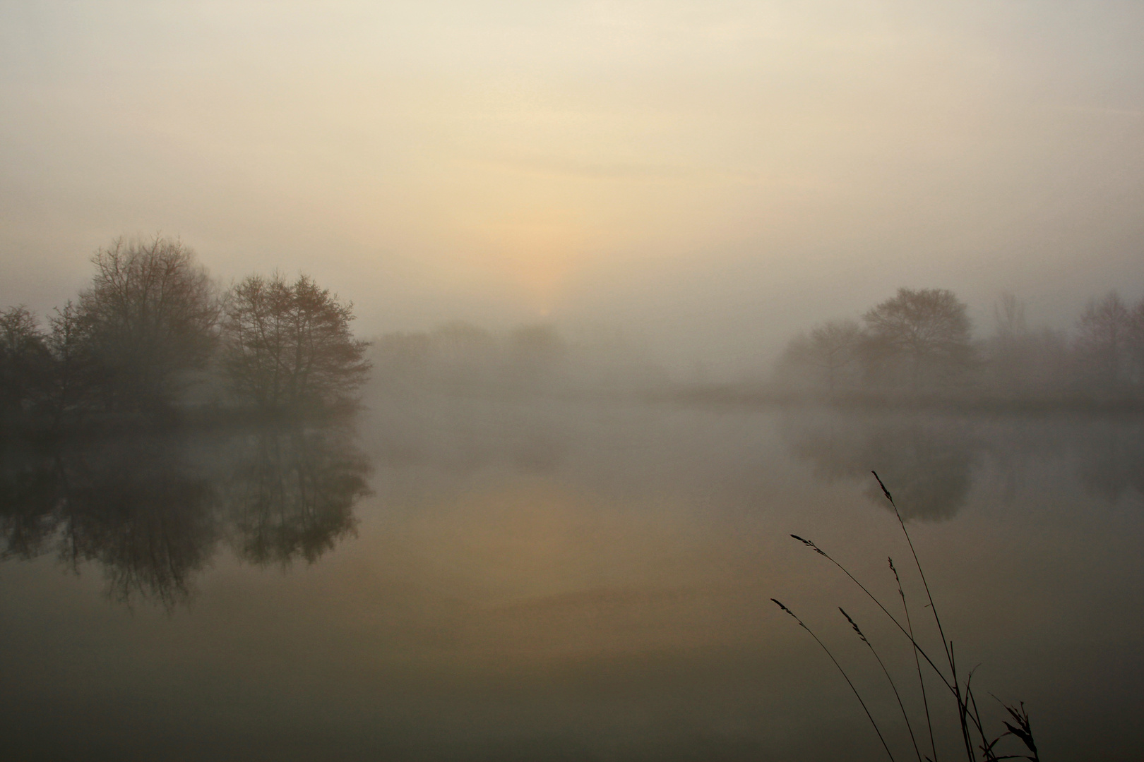 Morgennebel