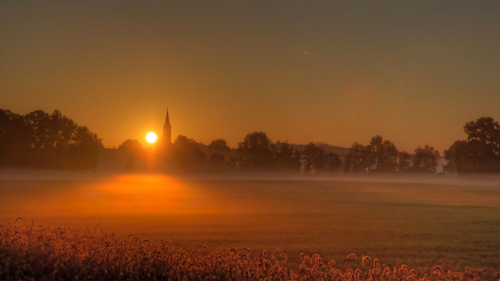 Morgennebel