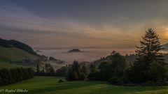 Morgennebel ...