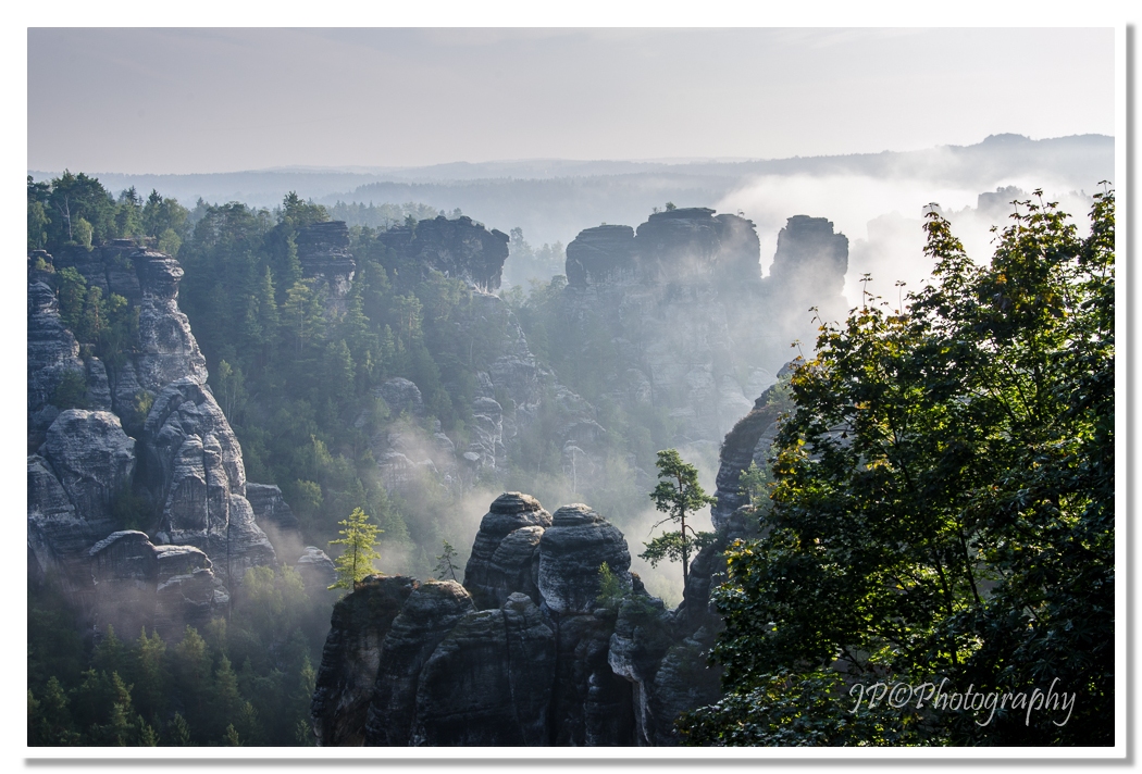 Morgennebel