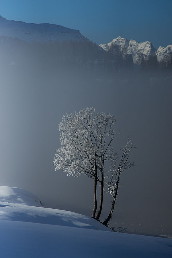 Morgennebel