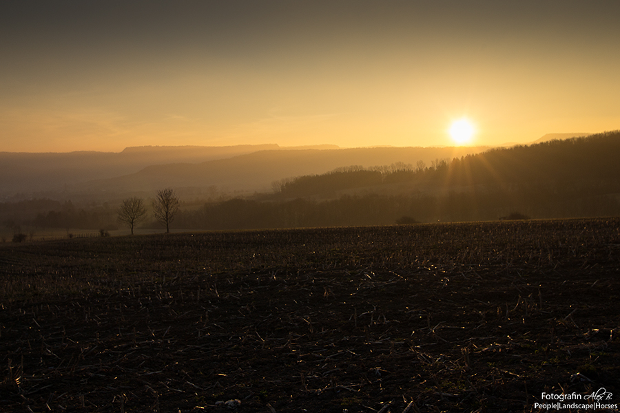 Morgennebel