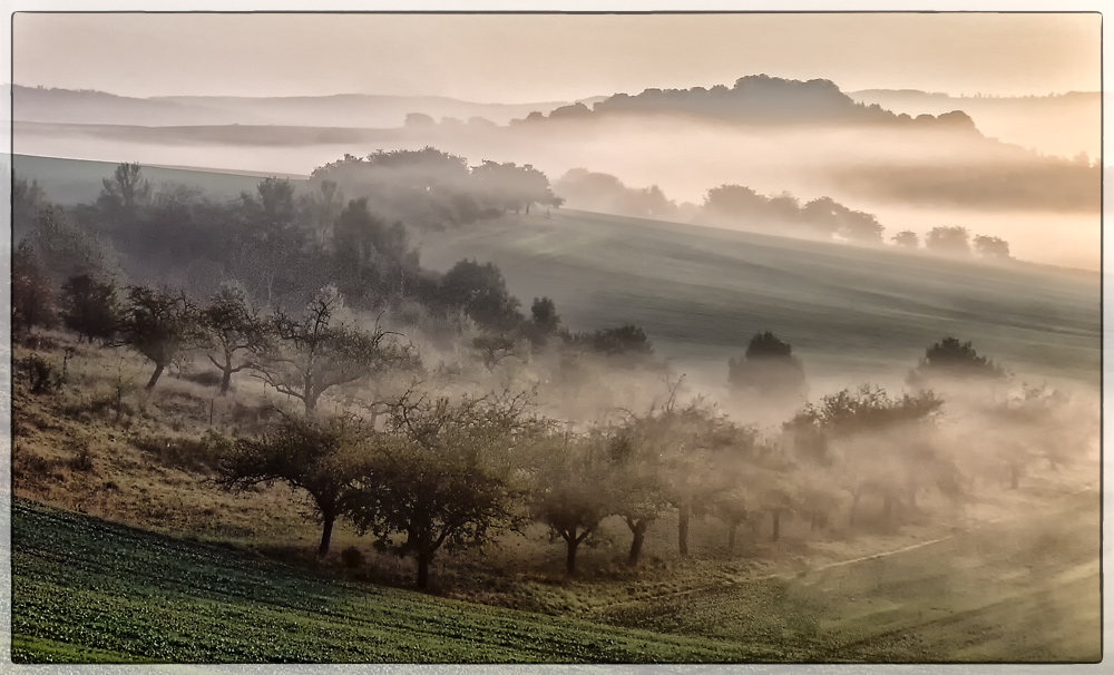 Morgennebel