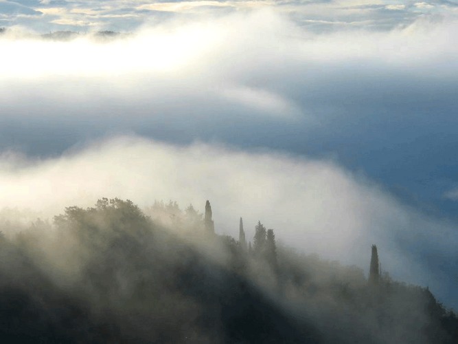 Morgennebel