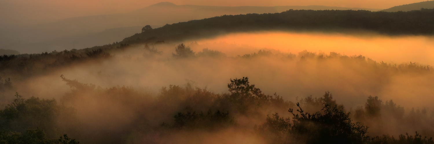 Morgennebel