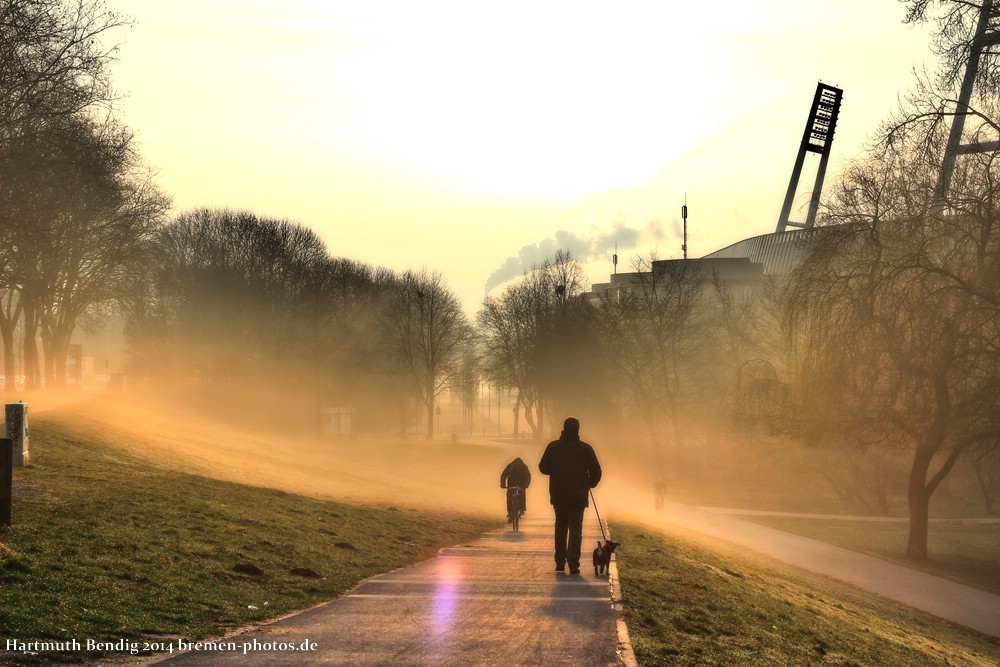 Morgennebel