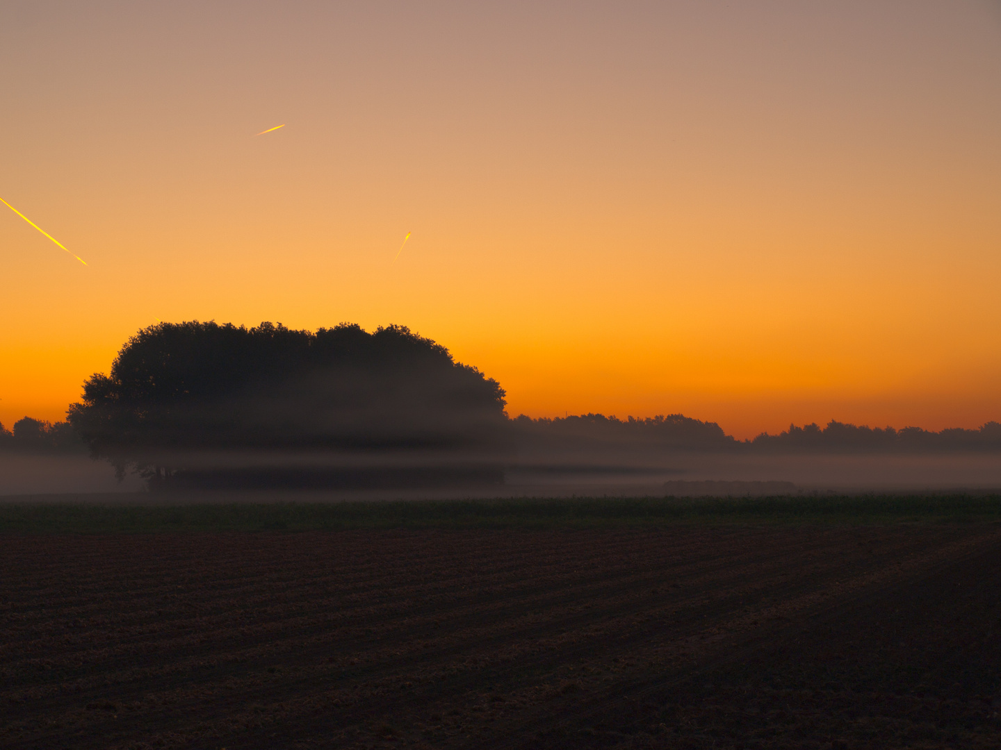 Morgennebel