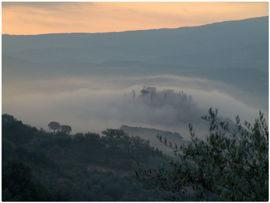 Morgennebel