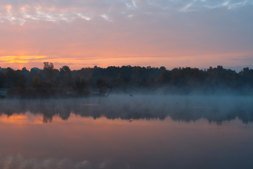 Morgennebel