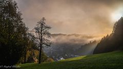 Morgennebel ...