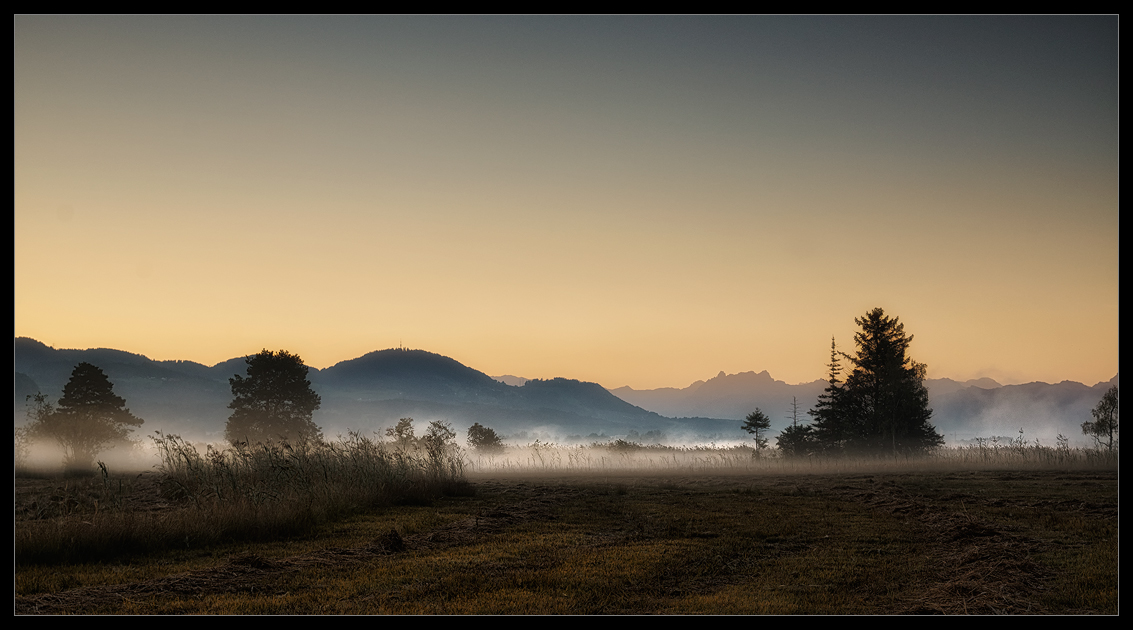 Morgennebel