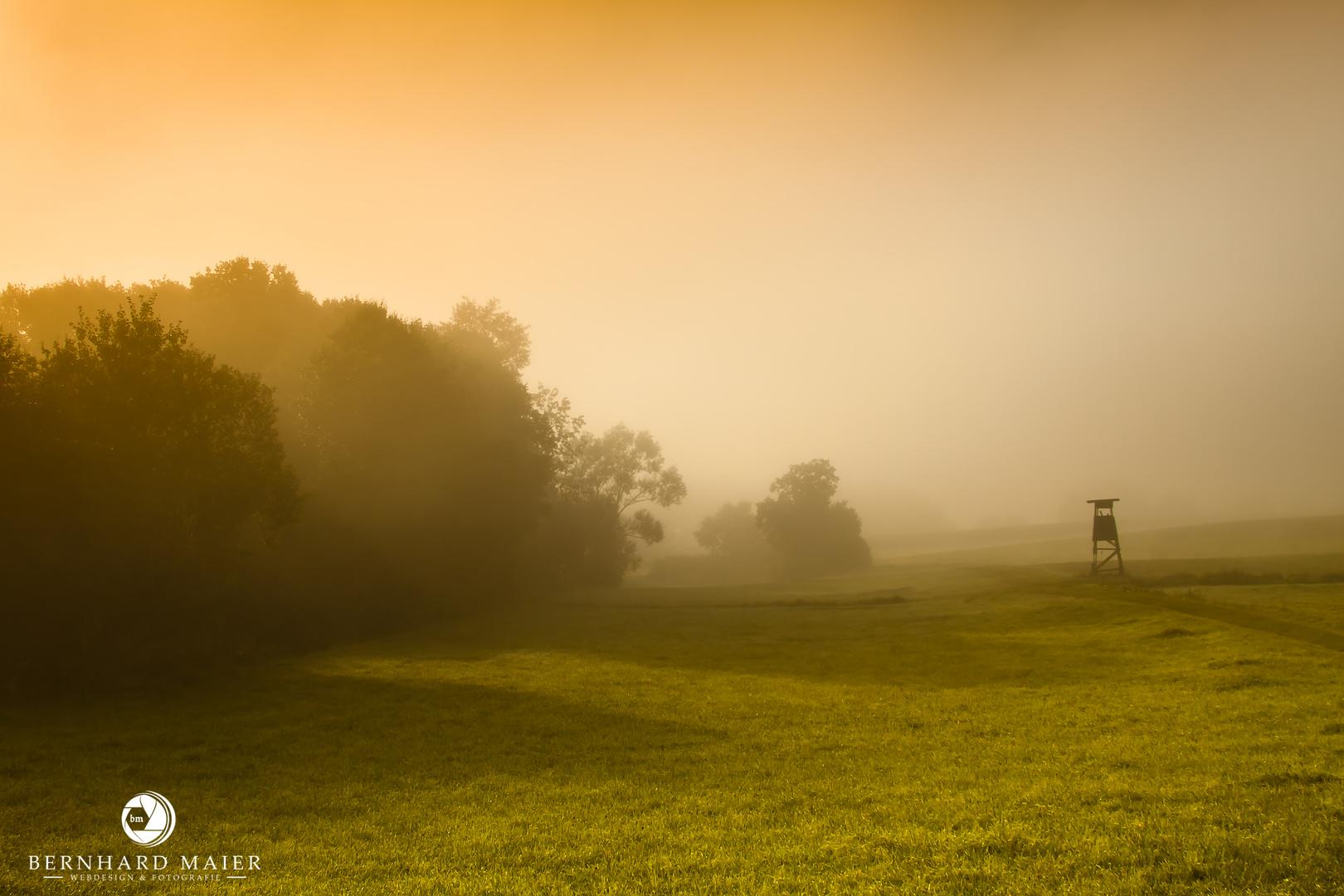 Morgennebel